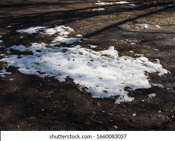 thawed patch. The melted snow exposed last year's autumn dried, withered foliage. spring soon. snow is melting. winter.