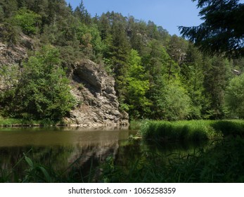 Thaya River In Summer