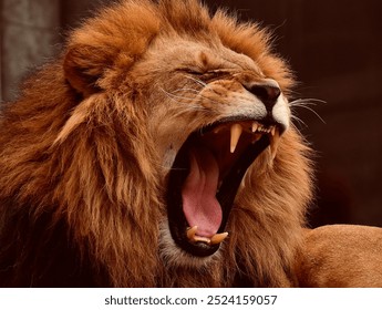 "The king of the jungle lets out a powerful roar, echoing his dominance across the savanna."