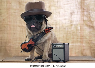 5,145 Guitar Dog Images, Stock Photos & Vectors | Shutterstock