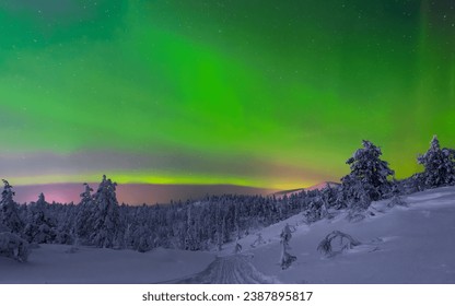 "The Road". Northern lights (Aurora Borealis) in Khibiny Mountains, Murmansk region, Russia, Far North, Polar Night - Shutterstock ID 2387895817