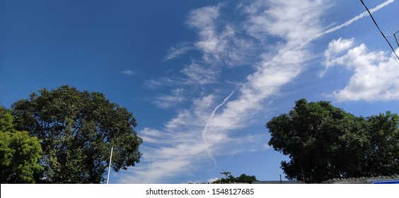 TheCloud between two trees in the sky