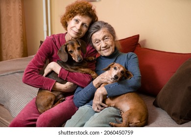 The theme is animal therapy, caring for elderly with dementia and Alzheimer's disease. Adult women spend time with elderly mother and pets dogs to bring joy and pleasure, affection for loved ones. - Powered by Shutterstock