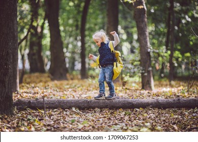 The Theme Children Outdoor Activities. Funny Little Baby Caucasian Blond Girl Walks Through Forest Overcoming Obstacles, Tree Fell, Log. Baby Hiking Big Funny Backpack In Autumn Forest Park.