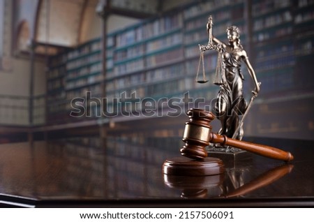 Themis and judge's gavel on library background.