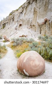 Theodore Roosevelt National Park