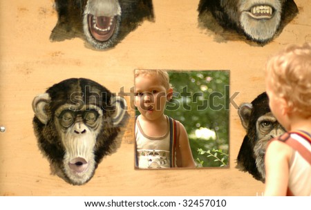 Theory of Evolution. Clear proof.