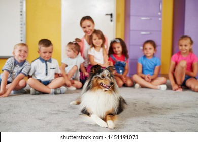 Therapy Dog And Group Of Children In The Background  