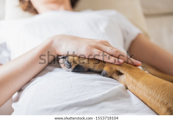Therapy dog with a human. Dog\
holds a paw on woman\'s belly, concept of dogs taking care, feeling\
human\'s pain  and being helpful during a disease or healing\
process