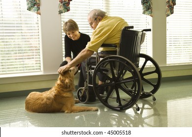Therapy dog is pet by an elderly man in a wheelchair and a younger woman. Horizontal shot. - Powered by Shutterstock