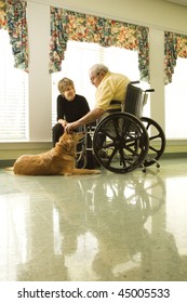 Therapy Dog Is Pet By An Elderly Man In A Wheelchair And A Younger Woman. Vertical Shot