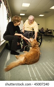 Therapy Dog Is Pet By An Elderly Man In A Wheelchair And A Younger Woman. Vertical Shot