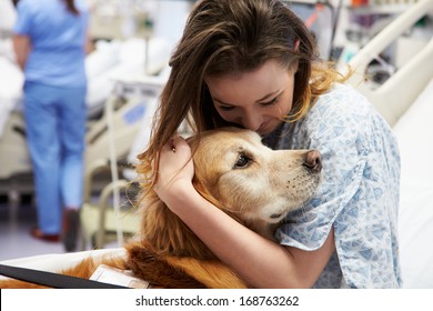 Therapy Dog Visiting Young Female Patient In Hospital