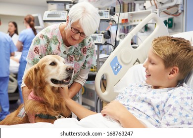 Therapy Dog Visiting Young Male Patient In Hospital