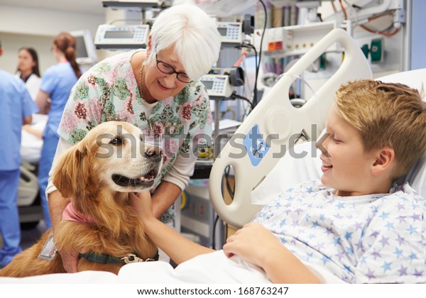 Therapy Dog\
Visiting Young Male Patient In\
Hospital
