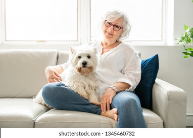 The Therapy Pet On Couch Next To Elderly Person In Retirement Rest Home For Seniors