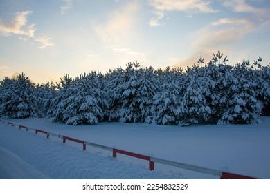 There are beautiful snow-covered fir trees along the road. Winter landscape under the evening blue sky.
 - Shutterstock ID 2254832529