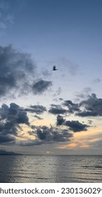 there is a bird at sunset