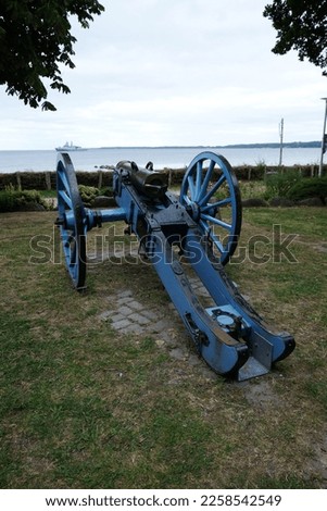 there is a blue cannon on the meadow