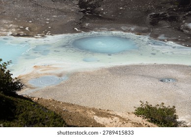 There is a boiling puddle in the foreground. There is hot mud in the background.