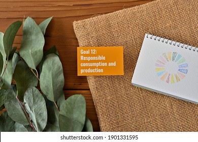 There Is Card With The Statement Goal 12:
Responsible Consumption And Production
 On It One Of The Goals Of The SDGs And A Symbol.