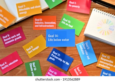 There Is Card With The Statement Goal 14:Life Below Water
 On It One Of The Goals Of The SDGs And A Symbol.