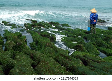 There Are Fishermen Fishing On The Coral Reefs That Hit The Waves And On The Coral Reefs Of The Green Seaweed On The Beach.