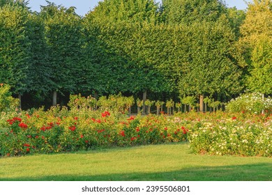 There is flowersbed  in the Schonbrunn park - Shutterstock ID 2395506801