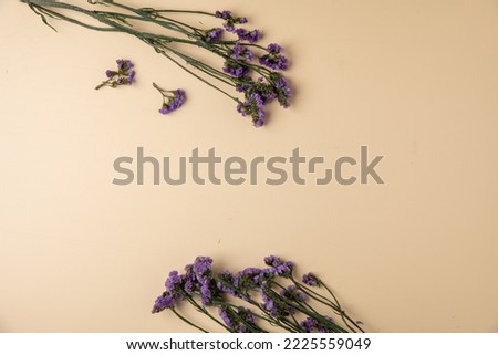 Similar – Wild flower pattern on white background