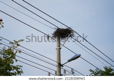 There is a magpie nest on a concrete pole