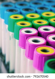 There are many Test Tubes with multicolor lids on the Test Tube rack. Macro photo with Test Tube for blood.