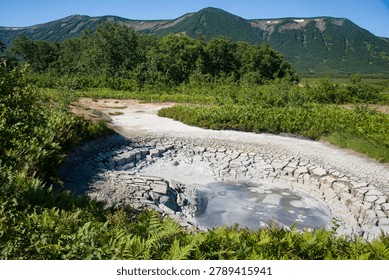 There is a mud puddle in the foreground. There is the Uzon Caldera in the background.