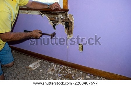 There is no easy solution to this kind of termite infestation damage and destruction. The sheetrock must be removed and old rotted boards replaced by a carpenter.