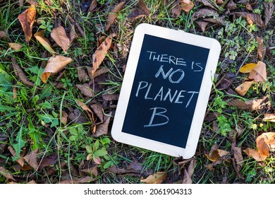 There Is No Planet B. Blackboard On Grass With Message. A More Sustainable Enviroment For A Better Planet.