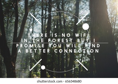 There Is No Wifi In The Forest But New Connection.