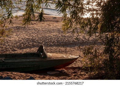 There is an old iron motorboat on the sandy shore. Willow trees grow all around. The contour light of the sunset penetrates through their leaves
