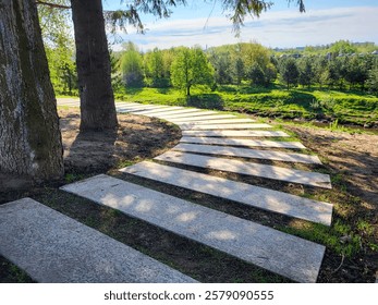 There is a path made of concrete rectangles among the trees in the park on a clear sunny spring day. The concept of landscaping and landscape design.