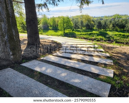 There is a path made of concrete rectangles among the trees in the park on a clear sunny spring day. The concept of landscaping and landscape design.