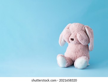 There is a rabbit here that is scared and has its own traumas that are portrayed through fear. - Shutterstock ID 2021658320