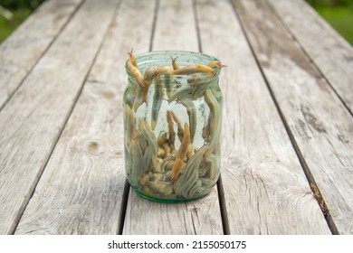 There are a lot of slugs. Jar on a wooden background - Powered by Shutterstock