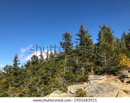 There is a small glance of Doublehead mountain in Jackson, NH. There are lots of pine tree on the rock.