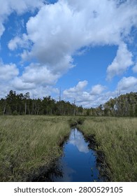 There is a small stream running through a grassy field