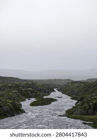 There is a small stream running through a grassy field