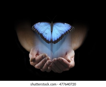 There are some things you cannot keep  - male hands cupped emerging from a black background with a large blue butterfly rising up with copy space above