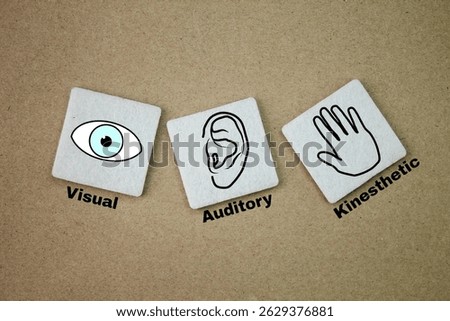 There are three main cognitive learning styles is visual, auditory, and kinesthetic. What are the 3 learning strategies?