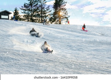 Toboggan High Res Stock Images Shutterstock