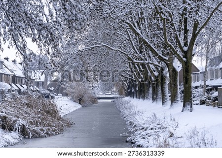 There are trees along a ditch and everything is covered in snow.