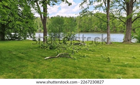 There are trees growing on the mowed grassy lawn on the lake shore. After a strong wind there are broken branches and torn leaves on the grass. There are ripples on the water. The sky is blue