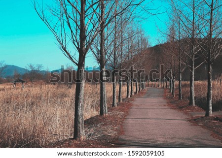 Similar – Image, Stock Photo end of winter Trip