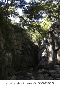 There are trees, shadows from the trees, and valleys